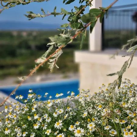 Hébergement de vacances Rocca