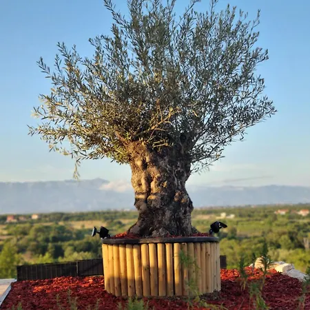 Hébergement de vacances Rocca