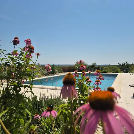 Rocca Nyaraló Murvica