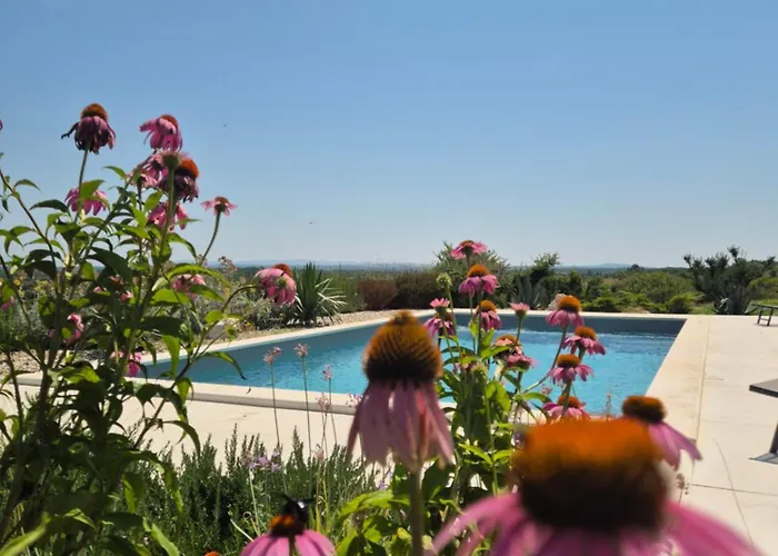 Rocca Vikendica Murvica (Policnik)