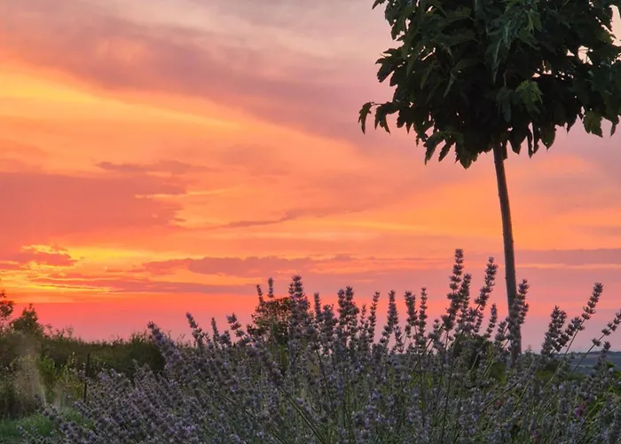 Rocca Murvica (Policnik)