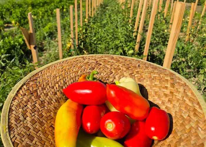 Prázdninový dům Rocca